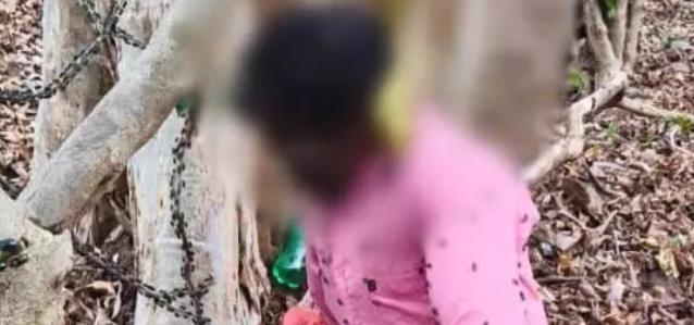 Chhattisgarh: खैरागढ़ में पेड़ पर लटका मिला वृद्ध का शव, मानसिक तनाव के चलते आत्महत्या की आशंका