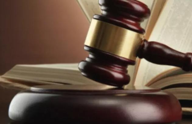 Bilaspur: High Court का बड़ा फैसला, NHM की टीबी हेल्थ विजिटर की सेवा समाप्ति का आदेश रद्द