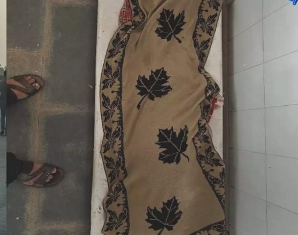 Raipur: जहरीले सांप के डसने से नानी और 8 वर्षीय नातिन की मौत, गांव में पसरा मातम