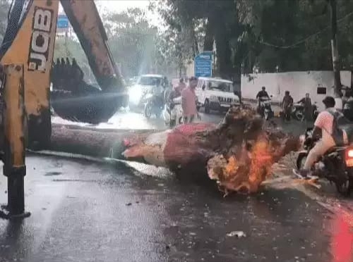 “आसमान से गिरी ऐसी आफत, पलभर में ट्रक हुआ तबाह, कई बेजुबानों की भी दर्दनाक मौत”