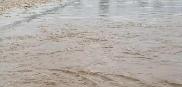 बिलासपुर करंट हादसे पर हाईकोर्ट सख्त, तीन मौतों के मामले में लिया स्वतः संज्ञान