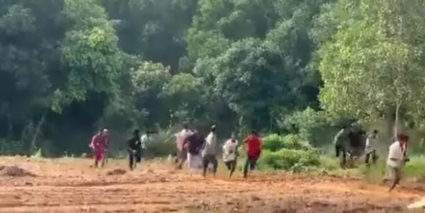 सूरजपुर में आबादी क्षेत्र में पहुंचा दंतैल हाथी, ग्रामीणों को दौड़ाया