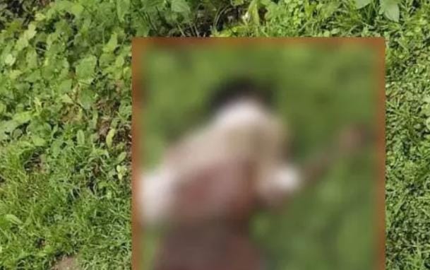 तेज रफ्तार ट्रेलर ने बाइक सवार दो युवकों को कुचला, मौके पर मौत