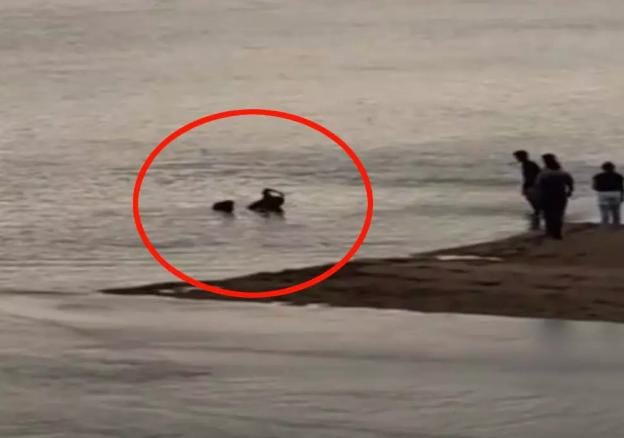 धमतरी में बड़ा हादसा टला: नदी में बह रहे दो मासूमों को महिलाओं ने बचाया, बहादुरी का वीडियो वायरल